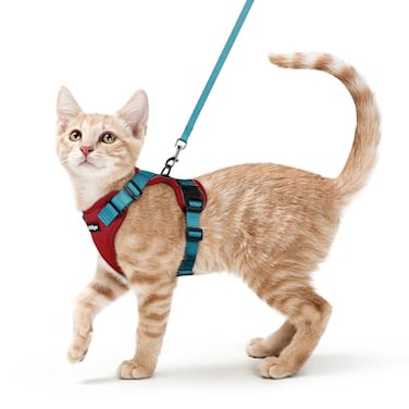 rabbitgoo Cat Harness and Leash Set Escape Proof Kitten Harness for Safe Outdoor Walks Soft Breathable Adjustable Vest with Reflective Strips for Kittens and Small Cats Red Teal Xs