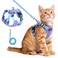 rabbitgoo Cat Harness and Leash Set Escape Proof Soft Adjustable Vest Harnesses for Outdoor Walking Easy Control Breathable Kitten Jacket with Reflective Strips Purple Blue XSmall