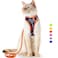 Supet Cat Harness and Leash Escape Proof Adjustable Cat Vest Harness and Leash Set for Walking Pet Harness with Reflective Trim for Cats Kittens SChest96157