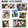 Supet Cat Harness and Leash Escape Proof Adjustable Cat Vest Harness and Leash Set for Walking Pet Harness with Reflective Trim for Cats Kittens SChest96157