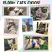 Supet Cat Harness and Leash Escape Proof Adjustable Cat Vest Harness and Leash Set for Walking Pet Harness with Reflective Trim for Cats Kittens SChest96157