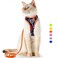 Supet Stylish EscapeProof Cat Harness and Leash Set Adjustable Fit Comfortable Neoprene Material Reflective Night Visibility Multicolor Cartoon Pattern Size M Chest 110183