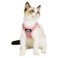 TwoEar Cat Harness Escape Proof Soft Dog Vest Harness Adjustable Breathable Mesh Stepin Puppy Walking Jacket Reflective Easy Control for Extral Small Pets for Outdoor WalkingXXS Pink