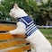 YIZHI MIAOW Yizhi Miaow Cat Harness and Leash for Walking Escape Proof Adjustable Cat Vest Harness Padded Stylish Cat Walking Jackets Sailor Suit Navy Medium