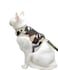 YIZHI MIAOW Yizhi Miaow Cat Harness and Leash Set for Walking Escape Proof Adjustable Cat Vest Harness Padded Stylish Cat Walking Jackets Camo Green Small