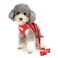 Zunea No Pull Dog Harness and Leash Set for Small Sized Dogs Adjustable Reflective Puppy Boy Girl Vest Harnesses Soft Corduroy Mesh Padded Stepin Cat Harness for Pet Chihuahua Red M