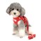 Zunea No Pull Dog Harness and Leash Set for Small Sized Dogs Adjustable Reflective Puppy Boy Girl Vest Harnesses Soft Corduroy Mesh Padded Stepin Cat Harness for Pet Chihuahua Red M
