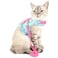 Zunea No Pull Small Dog Girl Harness Dress Escape Proof Cat Kitten Vest Harness Leash Set Stepin Soft Cotton Padded Cherry Printed Jacket Chihuahua Puppy Clothes with Bow for Walking Blue S