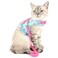 Zunea No Pull Small Dog Girl Harness Dress Escape Proof Cat Kitten Vest Harness Leash Set Stepin Soft Cotton Padded Cherry Printed Jacket Chihuahua Puppy Clothes with Bow for Walking Blue S