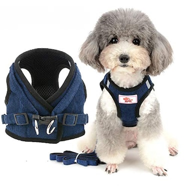 Zunea Small Dog Harness and Leash Set No Pull Adjustable Reflective Stepin Puppy Boy Girl Vest Harnesses Soft Corduroy Mesh Padded for Pet Dogs Cats Chihuahua Blue M