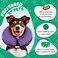 BENCMATE Inflatable Dog Cone Collar Alternative Soft Dog Cone for Small Medium Large Dogs and Cats Neck Recovery ECollar Donut Collar After Surgery Medium Purple