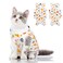 SUNFURA Cat Recovery Suit Kitten Surgical Full Bodysuit for Abdominal Wound Protector Anti Licking After Surgery Professional Bandages Cone ECollar Alternative for Small Male Female Pets