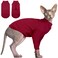 DENTRUN Hairless Cat Shirt Soft Turtleneck Pullover for Daily Comfort