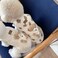 Jatmira Cute Pet Apparel Plush Bear Pattern Cartoon Dog Clothes All Season Sleeveless Puppy Kitten Pullover Soft SkinFriendly White1 M 4477lbs