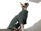 DUOMASUMI Sphynx Cat Clothes SelfHeating Warm Thermal Underwear Hairless Cat Clothes for DevonCornishPerterbald CatXL