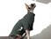 DUOMASUMI Sphynx Cat Clothes SelfHeating Warm Thermal Underwear Hairless Cat Clothes for DevonCornishPerterbald CatXL