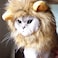 Idepet Realistic Funny Mane for Dogs Cats Lion Cat Costumes Halloween Hat for Dogs Cats