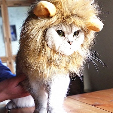 Idepet Realistic Funny Mane for Dogs Cats Lion Cat Costumes Halloween Hat for Dogs Cats