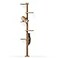 FUKUMARU WallMounted Cat Tree for Small Medium Cats 5Tier Tall Cat Climbing Tower with Scratching Post Indoor Cat Wall Shelves for Climbing Scratching Lookout