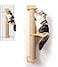 FUKUMARU Cat Activity Tree with Scratching Posts Wall Mounted Jute Scratcher Pine Hammock