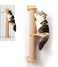 FUKUMARU Cat Activity Tree with Scratching Posts Wall Mounted Jute Scratcher Pine Hammock