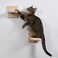 Clyairmao 2 PCS Wooden Cat Wall Shelves Climber SpaceSaving Indoor Cat Steps with Hammock Natural Solid Wood 2 PCS