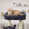 FISH&NAP FISHNAP Cute Cat Tree Kitten Cat Tower for Indoor Cat Condo Sisal Scratching Posts with Jump Platform Cat Furniture Activity Center Play House Smoky Grey