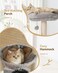 HOOPET Cat Tree Tower for Indoor Cats 278 Inches MultiLevel Cat Tree with Scratching Posts Plush Basket Perch for Play Rest Cat Activity Tree with Dangling Ball for KittensSmall Cats