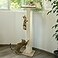 GreenPetopia Cat Window Perch with Thick Sisal Scratching Post Cat Hammock for Window 535 Adjustable Tall Cats Scratching Post with 2 Upgrade Suction Cups Cats Window Bed with Fluffy Cushion Sisal