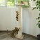 GreenPetopia Cat Window Perch with Thick Sisal Scratching Post Cat Hammock for Window 535 Adjustable Tall Cats Scratching Post with 2 Upgrade Suction Cups Cats Window Bed with Fluffy Cushion Sisal