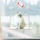 Mkono Cat Window Perch Macrame Boho Cat Hammock Wall Mounted Cat Bed for Indoor Cat Pet Resting Seat Safety Space Saving Cat Shelves with Screw Suction Cups