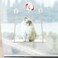Mkono Cat Window Perch Macrame Boho Cat Hammock Wall Mounted Cat Bed for Indoor Cat Pet Resting Seat Safety Space Saving Cat Shelves with Screw Suction Cups