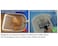 DS. DISTINCTIVE DS DISTINCTIVE STYLE Cat Litter Scoop Deep Shovel Metal Sifter Small Round Holes