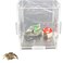 tinkare 3 Pack Jumping Spider Mushroom Hide for Spoods Pet Spider Decor Enclosure Accessories