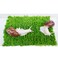 Begeterday Pet Snail Climbing Wall Ideal Snail Terrarium Accessories7 Inch