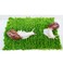 Begeterday Pet Snail Climbing Wall Ideal Snail Terrarium Accessories7 Inch