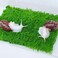 Begeterday Pet Snail Climbing Wall Ideal Snail Terrarium Accessories7 Inch