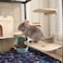 YKD Chinchilla Wooden Platform Set Chinchilla Cage Ledges Small Animals Cage Accessories for Squirrel Gerbil Suger Glider Hamsters 3Pcs of Small Platform