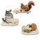 YKD Chinchilla Wooden Platform Set Chinchilla Cage Ledges Small Animals Cage Accessories for Squirrel Gerbil Suger Glider Hamsters 3Pcs of Small Platform