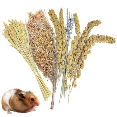 Fhiny Natural Hamster Bedding Mate Edible Hamster Sprays Flowers Herbs Gerbil Habitat Enclosure Decor Grain Treats Cage Accessories for Dwarf Syrian Hamster Gerbil Degus Lemming Mice
