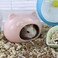 LuckyOpt Hamster Ceramic House Cute Bear Shape Hamsters Summer Cooling Cave for Small Pets Dwarf Mice Gerbils Pink S