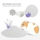 Niteangel Training Litter Potty Sand Hamster Sand Bath for Syrian Dwarf Hamsters Gerbils Mice Lemming Degus or Other SmallSized Pets 14 L x 2 Purple Label