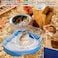 PINVNBY Hamster Bathroom Gerbil Plastic Sand Dry Bath Container Small Animal Sauna Toilet Sandbox with Scoop for Hamster Gerbil Rat Mice and Small Animal
