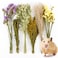 Sukh 42Pcs Herb Bedding Habitat Decor Natural Flower Hamster Mate Herbs Sprays Cage Safe Pet Accessories Decorations Hideout for Hamsters Mouse Guinea Pig Dwarf Gerbils Syrian Mice