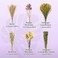 Sukh 42Pcs Herb Bedding Habitat Decor Natural Flower Hamster Mate Herbs Sprays Cage Safe Pet Accessories Decorations Hideout for Hamsters Mouse Guinea Pig Dwarf Gerbils Syrian Mice