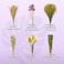 Sukh 42Pcs Herb Bedding Habitat Decor Natural Flower Hamster Mate Herbs Sprays Cage Safe Pet Accessories Decorations Hideout for Hamsters Mouse Guinea Pig Dwarf Gerbils Syrian Mice