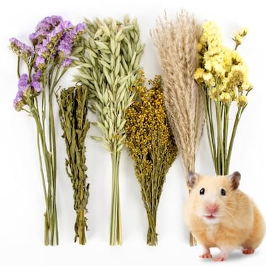 Sukh 42Pcs Herb Bedding Habitat Decor Natural Flower Hamster Mate Herbs Sprays Cage Safe Pet Accessories Decorations Hideout for Hamsters Mouse Guinea Pig Dwarf Gerbils Syrian Mice