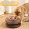 Baysea Kitty Kurlz Kitty Kurlz Cat Toy Magic Organ Cat Scratch Board Magic Organ Cat Toy Foldable Accordion Cat Toy with Bell Ball Interactive Mental Physical Exercise for Indoor Cats