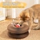 Baysea Kitty Kurlz Kitty Kurlz Cat Toy Magic Organ Cat Scratch Board Magic Organ Cat Toy Foldable Accordion Cat Toy with Bell Ball Interactive Mental Physical Exercise for Indoor Cats