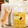 Conlun Cat Scratch Furniture Protector Adhesive Couch Protector from Cat Claws Clear Furniture Protectors from Cats Scratching Medium 14x11 14x6 10 Pack 44 Pins